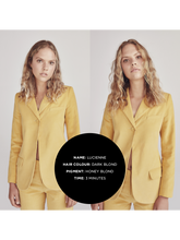 Load image into Gallery viewer, Honey Blond - Pigment